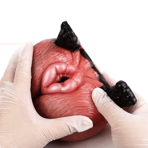 Sexy Fox Butt Fantasy Masturbator