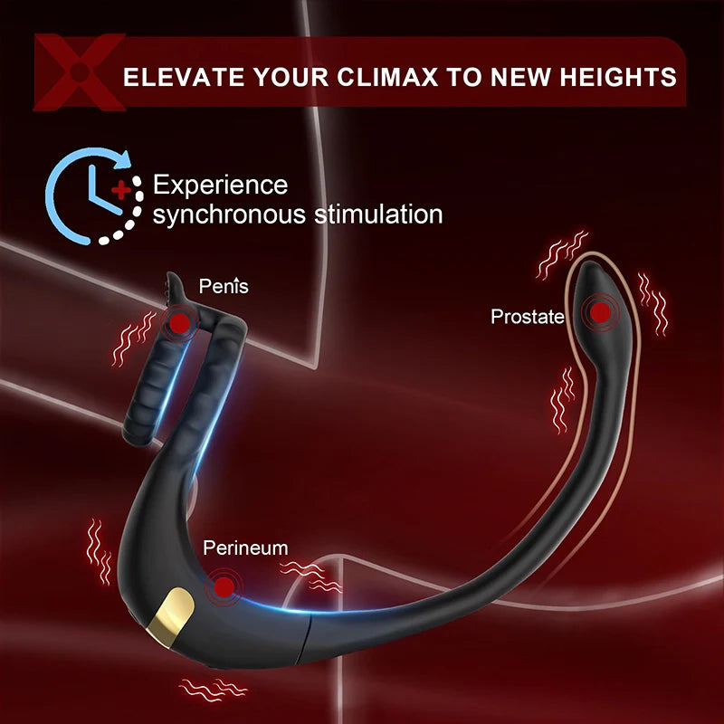 PM2 APP Control Vibrating Prostate Massager & Anal Toy For Men